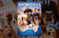 Show-Dogs